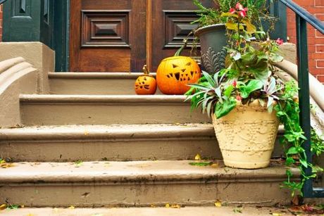 pumpkin