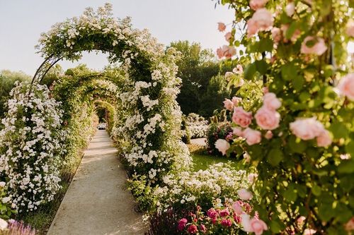 Ruzova zahrada, rozarium v Dolnej Krupej