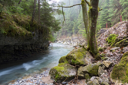 Janska dolina, potok